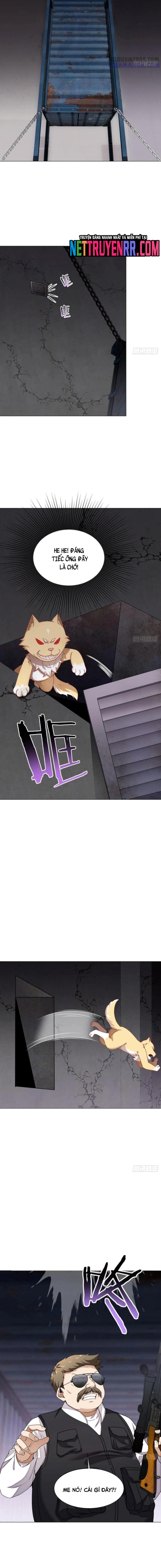 Kế Hoạch Bồi Dưỡng Streamer Của Cẩu Hoàng Chapter 19 - Trang 2