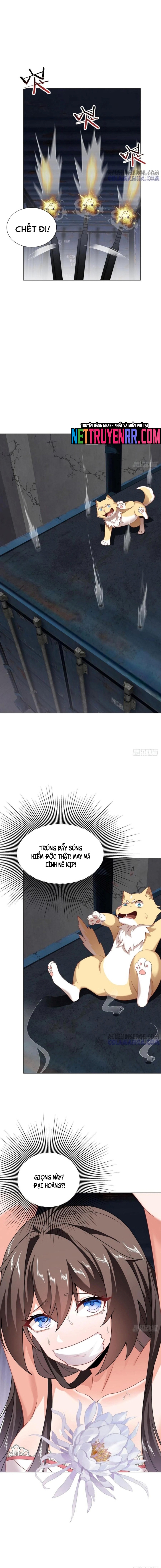 Kế Hoạch Bồi Dưỡng Streamer Của Cẩu Hoàng Chapter 19 - Trang 2