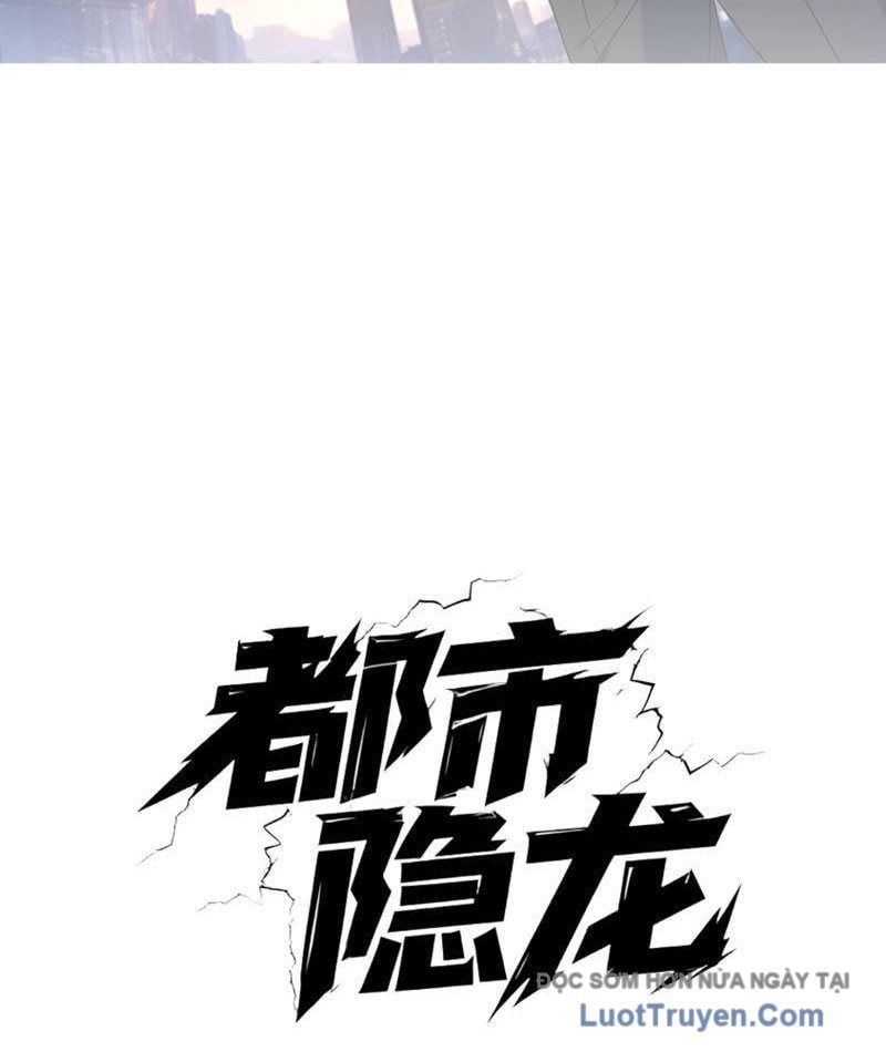 Ẩn Long Đô Thị Chapter 16 - Trang 2