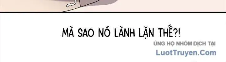 Một Mảnh Thời Gian Chapter 8 - Trang 2