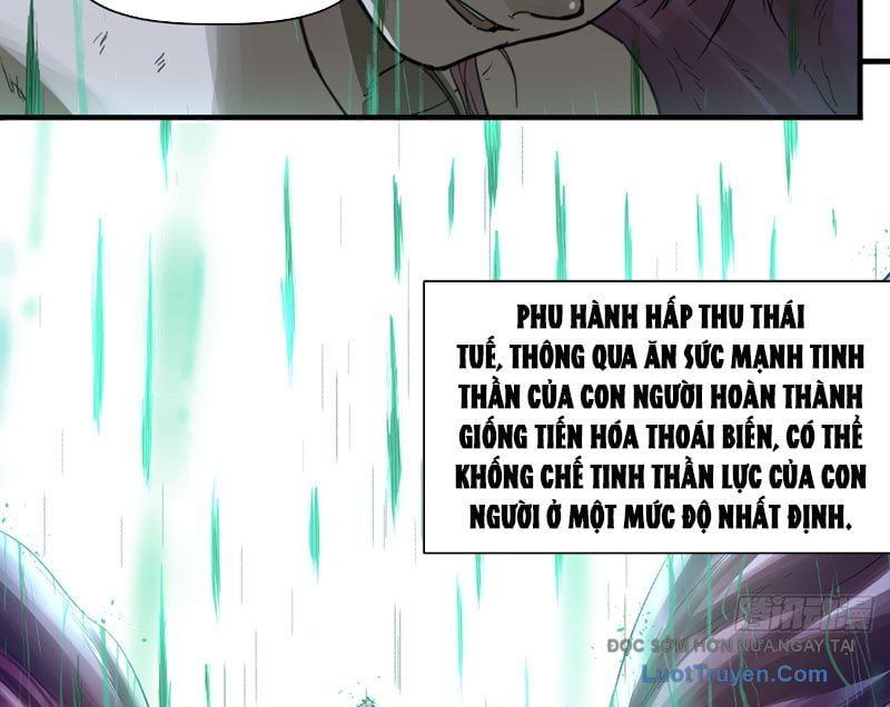 Hộp Mãnh Thú: Kỷ Nguyên Cơ Giáp Chapter 62 - Trang 2