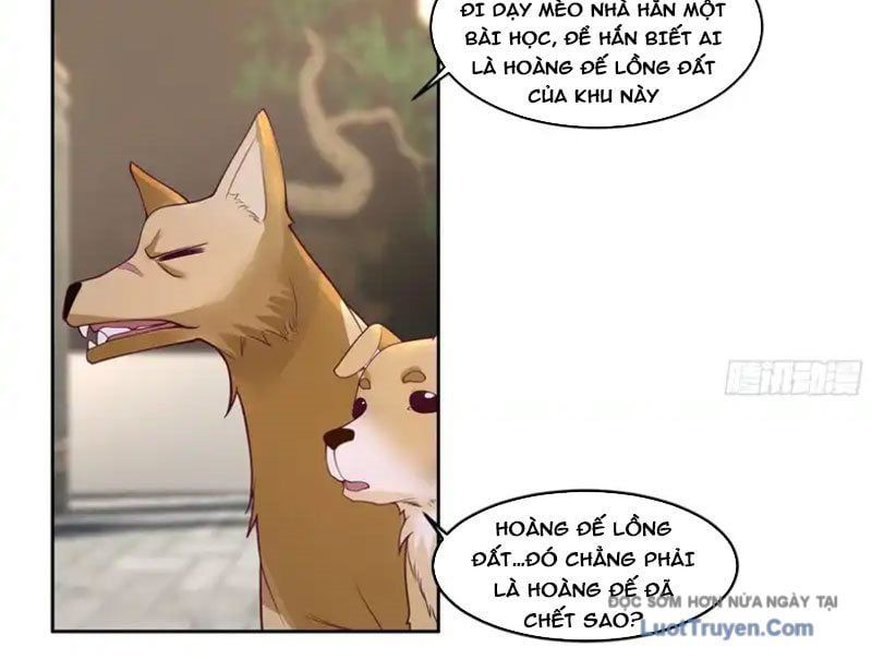 Cựu Nhật Chi Triện Chapter 20 - Trang 2