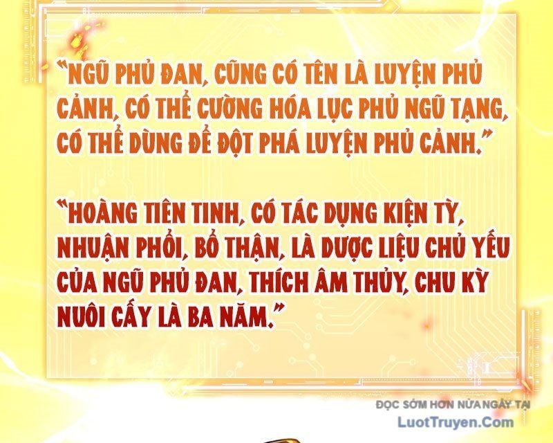 Người Khác Luyện Cấp Ta Tu Tiên, Tới Đại Thừa Kỳ Thì Rời Núi Chapter 14 - Trang 2