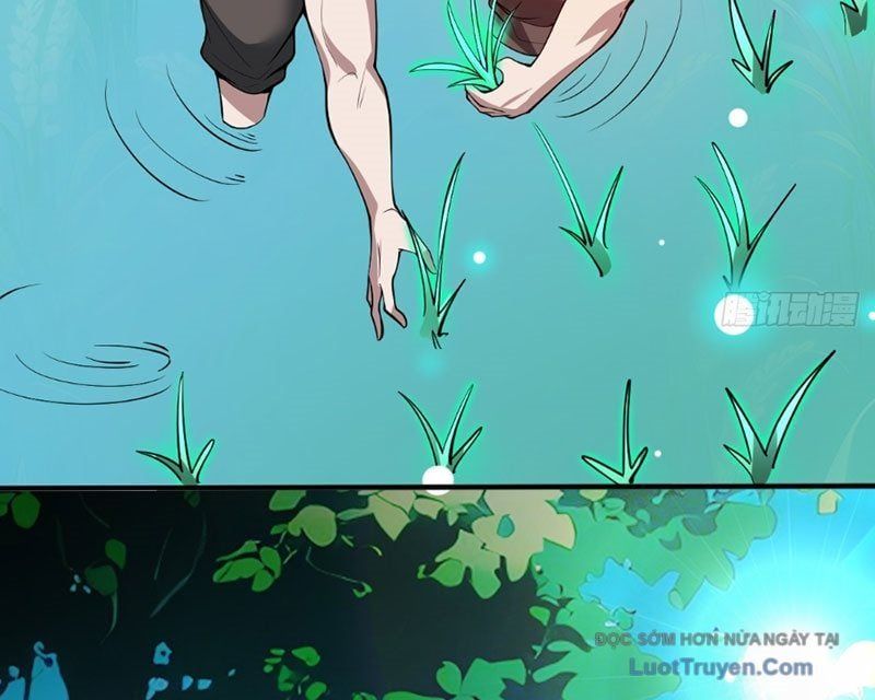 Người Khác Luyện Cấp Ta Tu Tiên, Tới Đại Thừa Kỳ Thì Rời Núi Chapter 14 - Trang 2