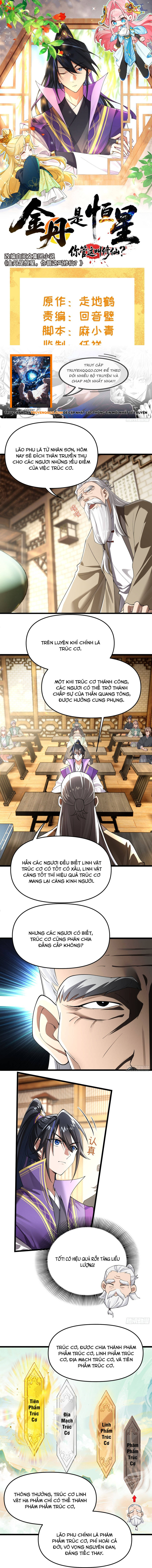 Kim Đan Là Hằng Tinh, Ngươi Gọi Đây Là Tu Tiên À? Chapter 9 - Trang 2