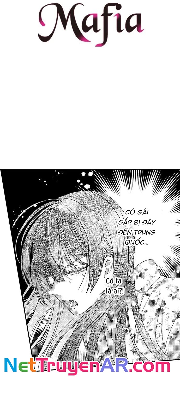 Ván Cược Tình Ái Chapter 34 - Trang 2