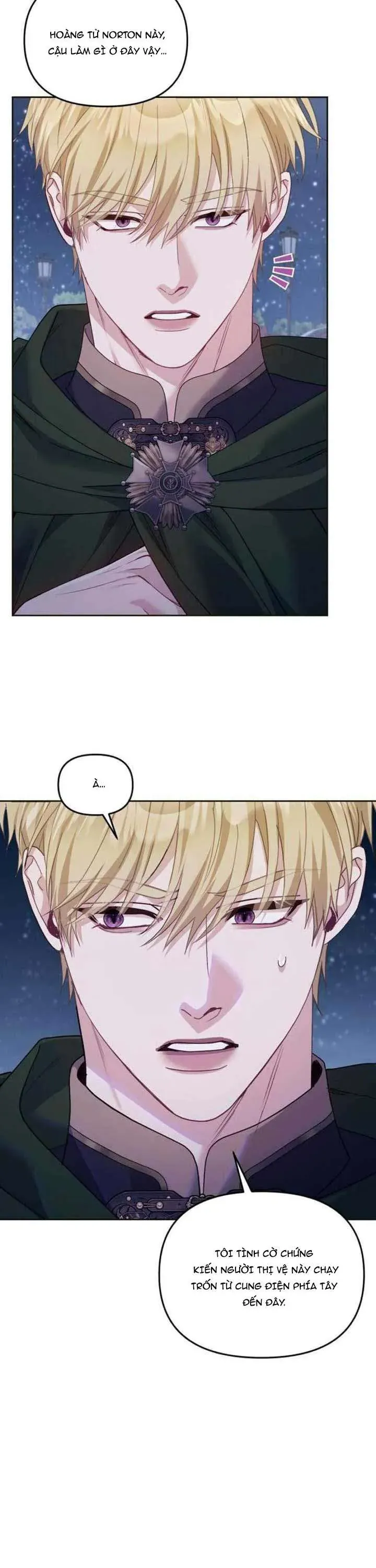 Tuy Là Hoàng Hậu Thay Thế Nhưng Tôi Lại Đánh Mất Đêm Đầu Tiên Chapter 36 - Trang 2