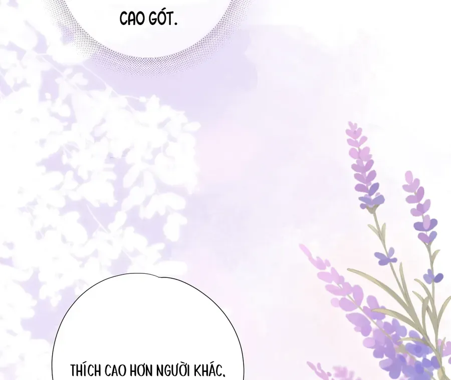 Vãn Triều Chapter 4 - Trang 2