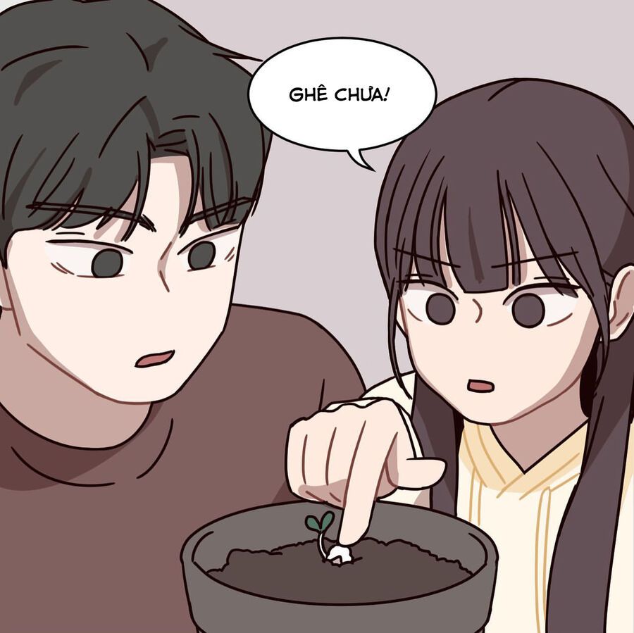 Bựa Cả Đôi Chapter 4 - Trang 2