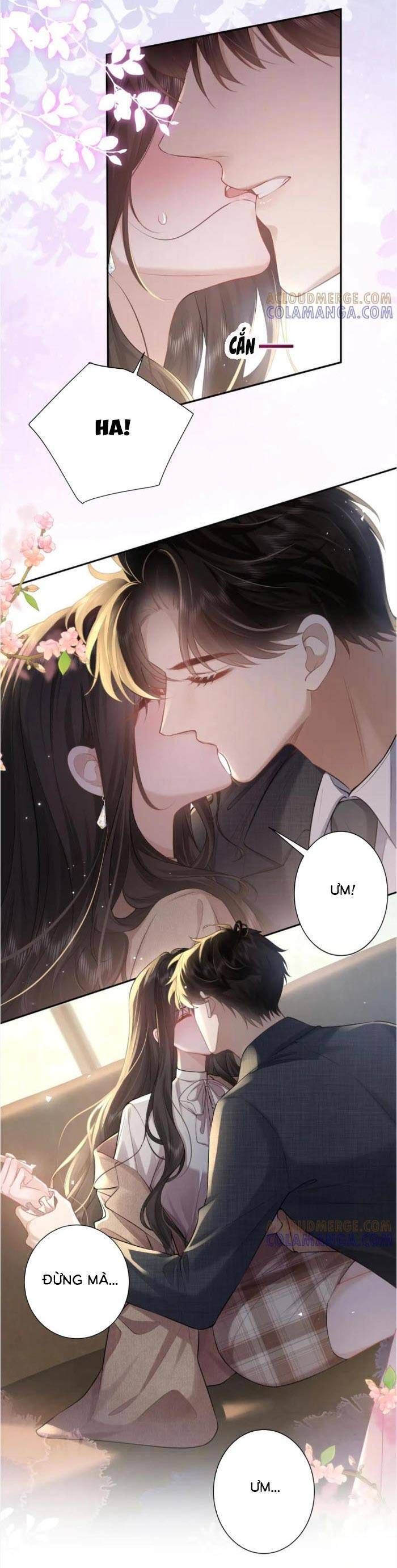Tổng Tài Cố Chấp, Xin Hãy Buông Tha Chapter 24 - Trang 2