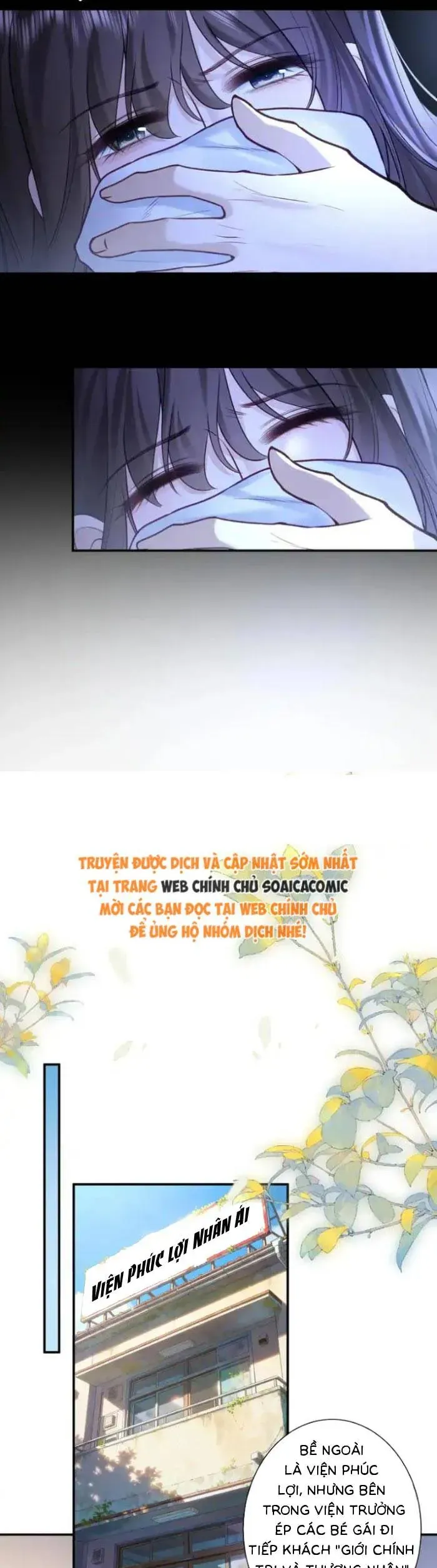 Tổng Tài Cố Chấp, Xin Hãy Buông Tha Chapter 37 - Trang 2