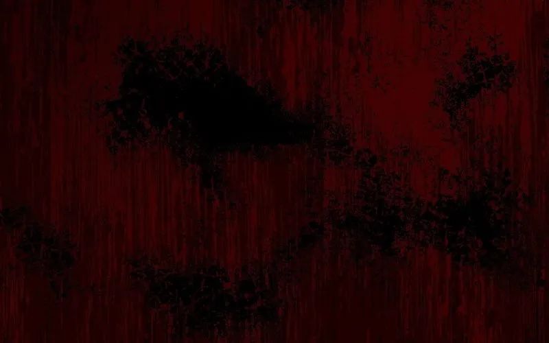 Nhân Sinh Quỷ Dị Chapter 2 - Trang 2