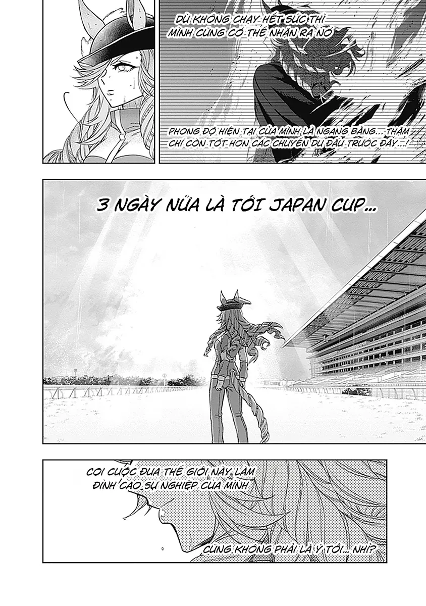 Uma Musume: Cinderella Gray Chapter 50 - Trang 2