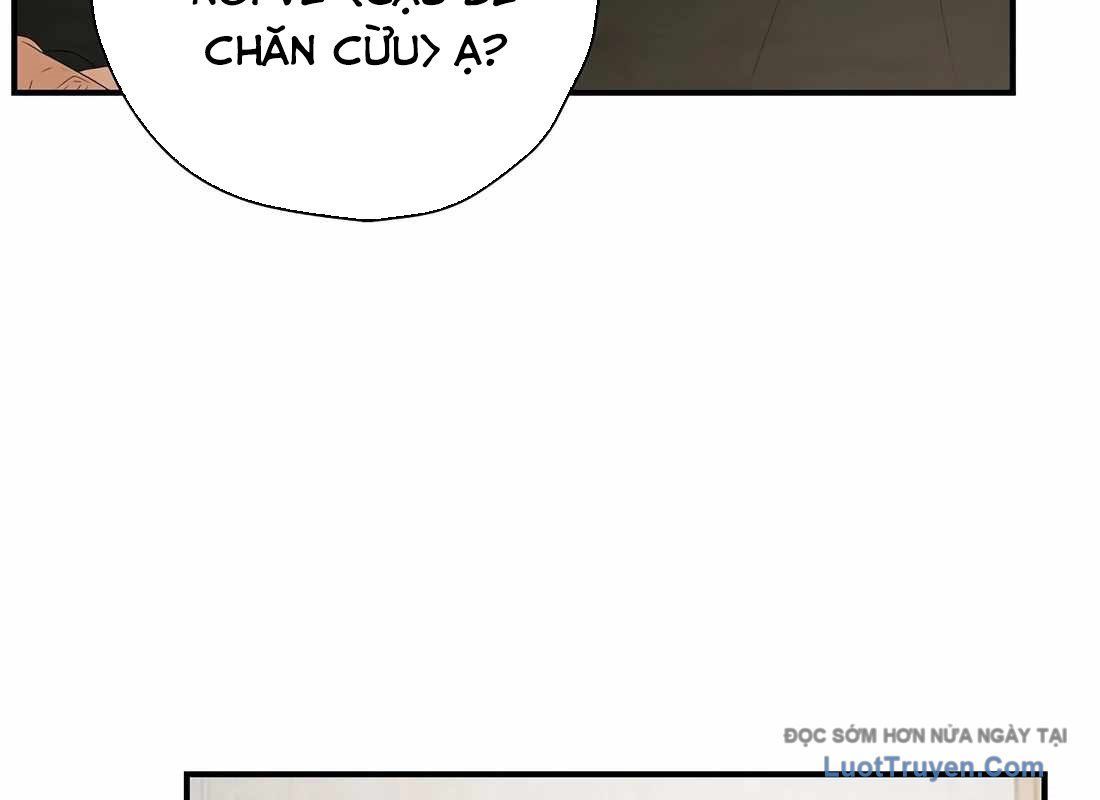 Kẻ Thống Trị Kịch Bản Chapter 46 - Trang 2