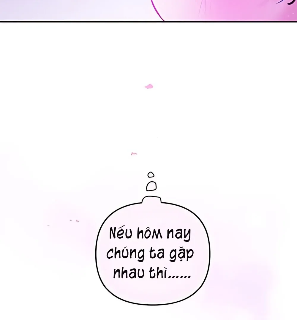 Guild Idol Chapter 42 - Trang 2