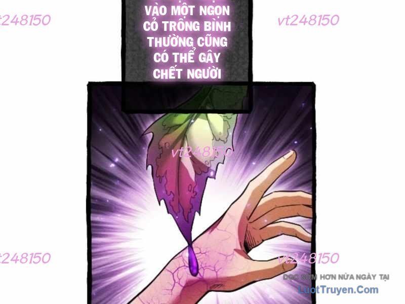 Tổ Sư Hồi Quy: Tái Sinh Thành Hậu Duệ Sau Nghìn Năm Chapter 10 - Trang 2