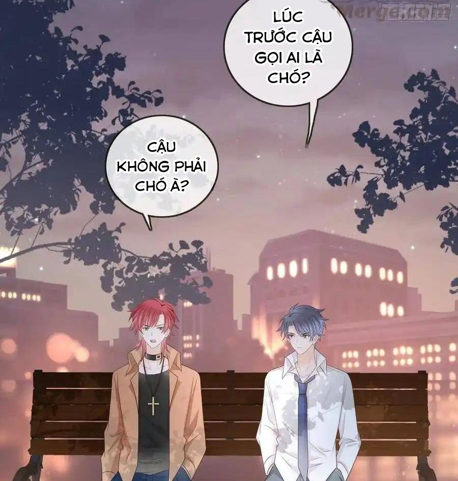 Làm Ảnh Hậu Không Bằng Học Thanh Hoa Chapter 82 - Trang 2