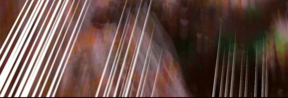 Hệ Thống Thăng Cấp Thành Thần Chapter 176 - Trang 2