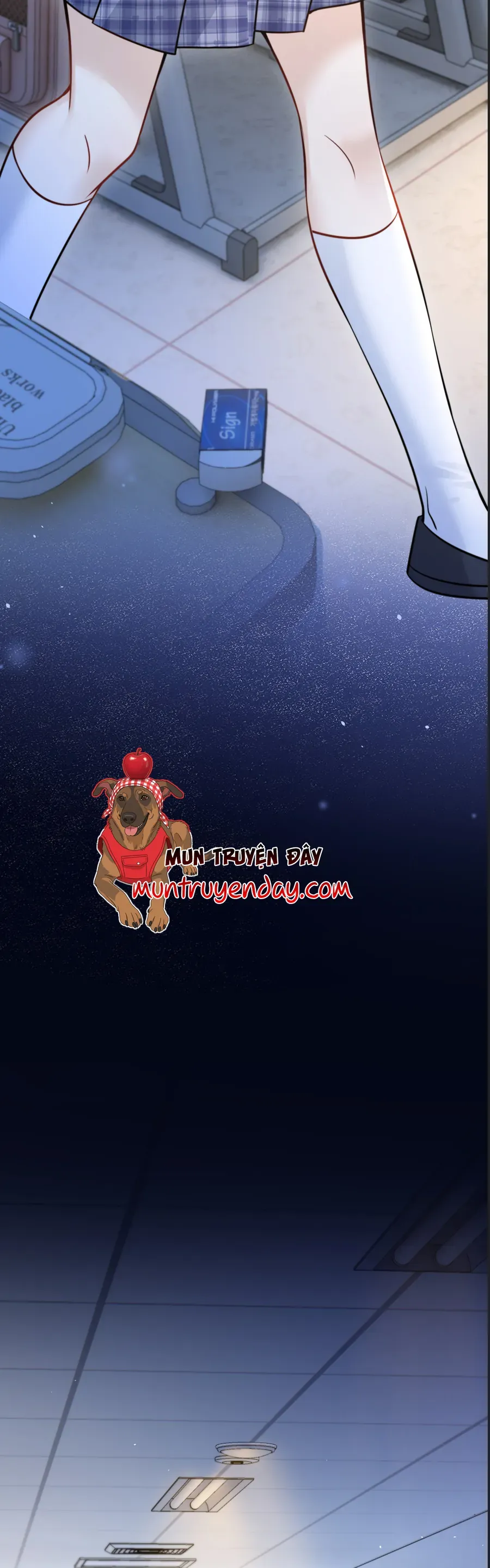 Em Có Nghe Thấy Tôi Nói Không Chapter 84 - Trang 2