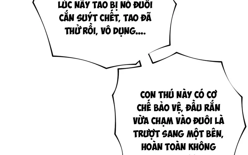 Trở Thành Thần Trong Thế Giới Nhị Phân Chapter 3 - Trang 2