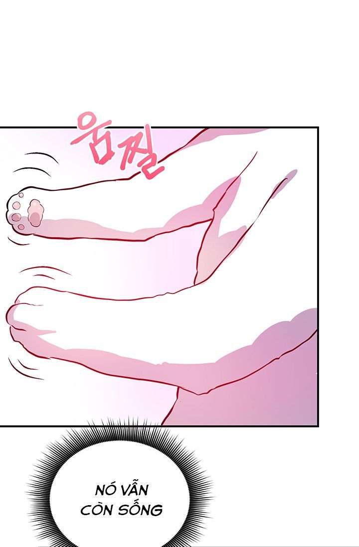 Sự Trả Thù Của Chúa Tể Bóng Tối Chapter 1 - Trang 2