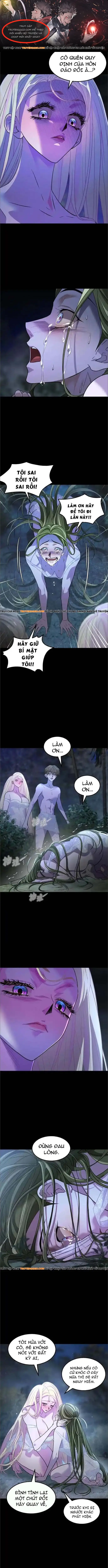 Minh Quân Tại Thượng Chapter 7 - Trang 2