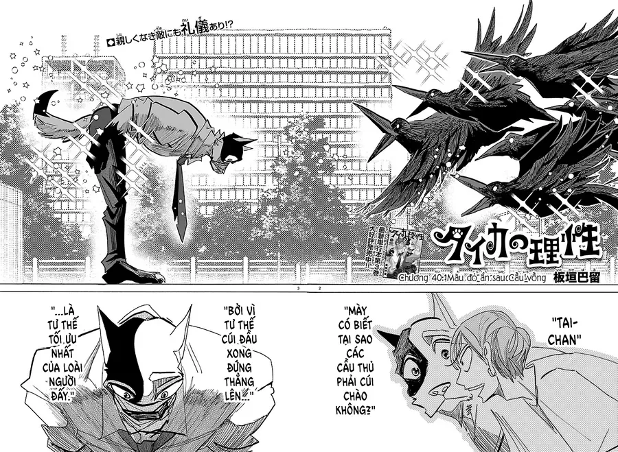 Lý Trí Của Taika Chapter 40 - Trang 2