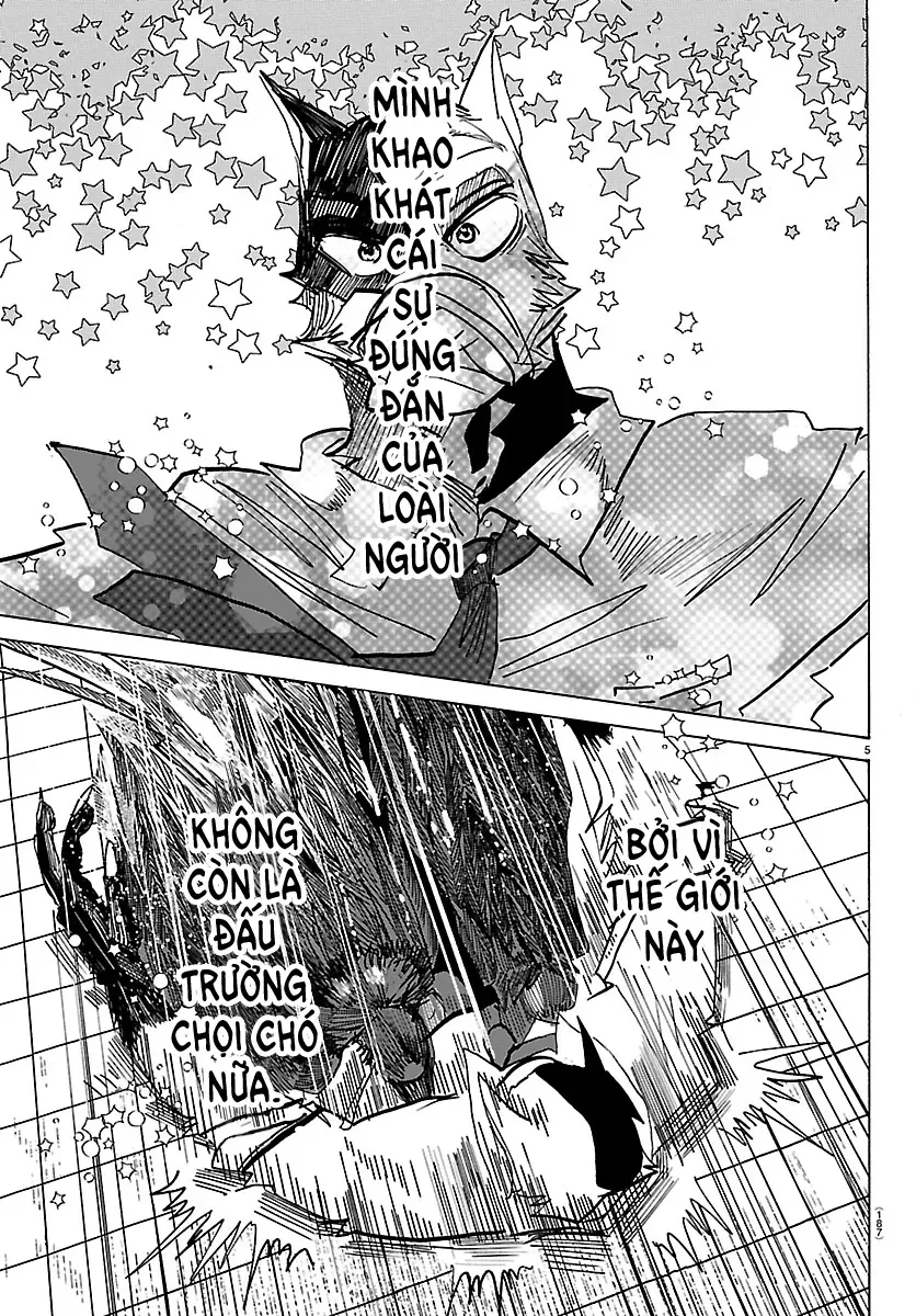 Lý Trí Của Taika Chapter 40 - Trang 2