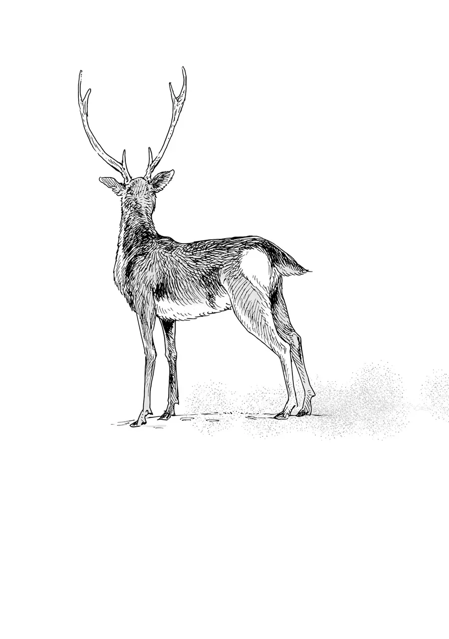 Hỡi Các Chị Em, Nhắm Thẳng Quân Thù Mà Bắn. Chapter 10 - Trang 2