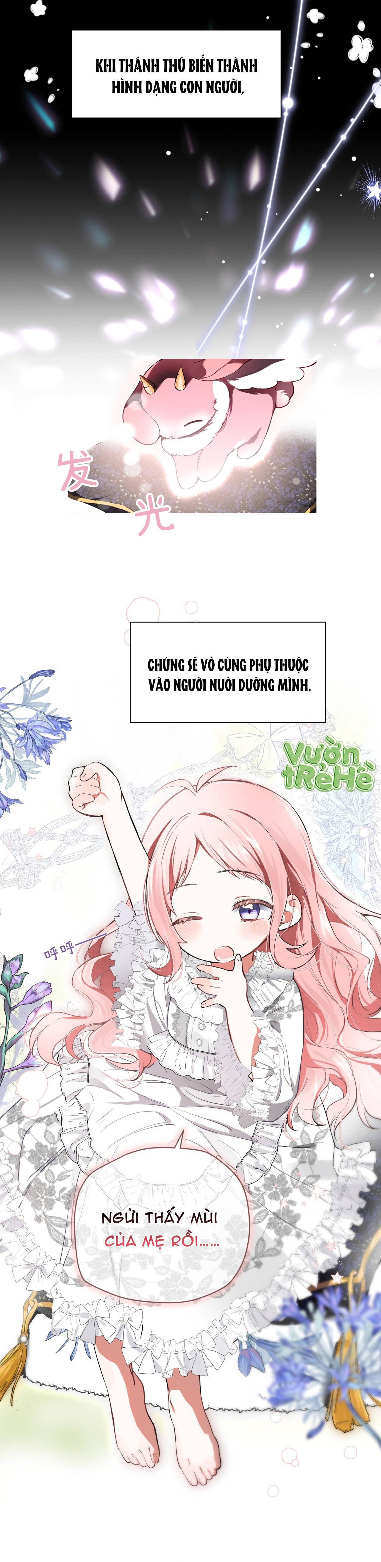 Cô Ấy Sẽ Thuần Phục Anh Hùng Chapter 1 - Trang 2