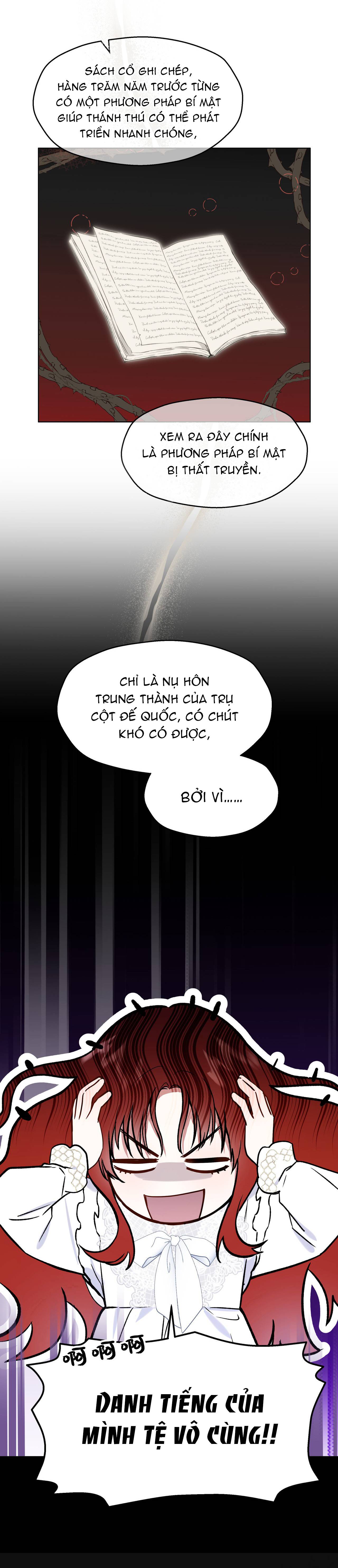 Cô Ấy Sẽ Thuần Phục Anh Hùng Chapter 2 - Trang 2