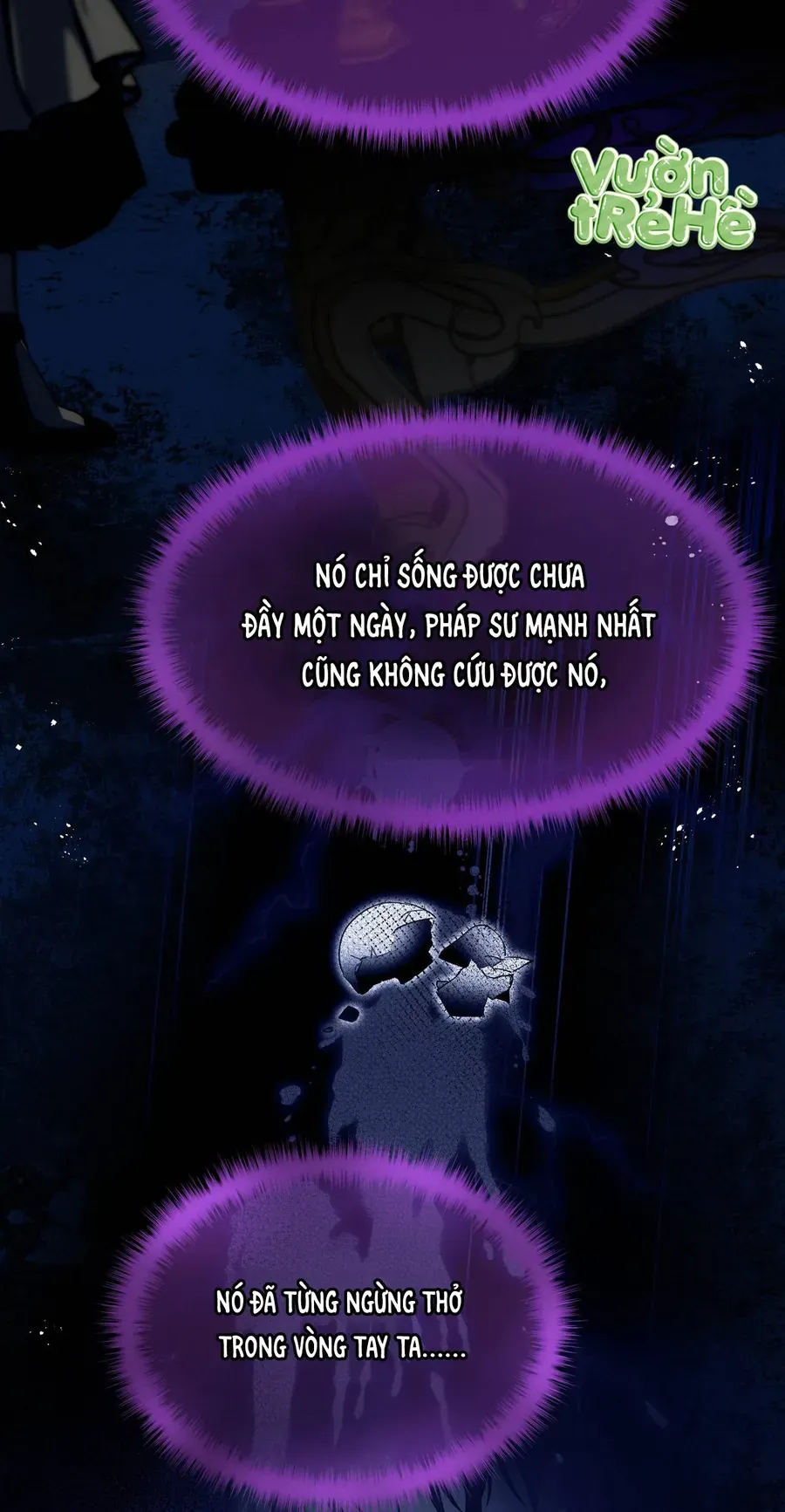 Cô Ấy Sẽ Thuần Phục Anh Hùng Chapter 5 - Trang 2