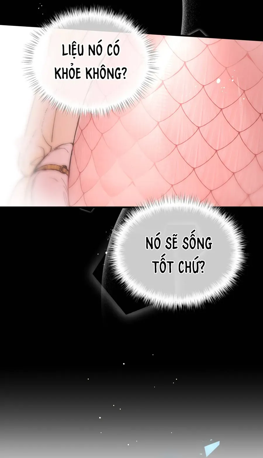 Cô Ấy Sẽ Thuần Phục Anh Hùng Chapter 6 - Trang 2