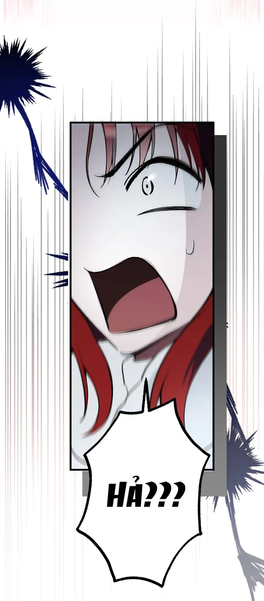 Cô Ấy Sẽ Thuần Phục Anh Hùng Chapter 6 - Trang 2