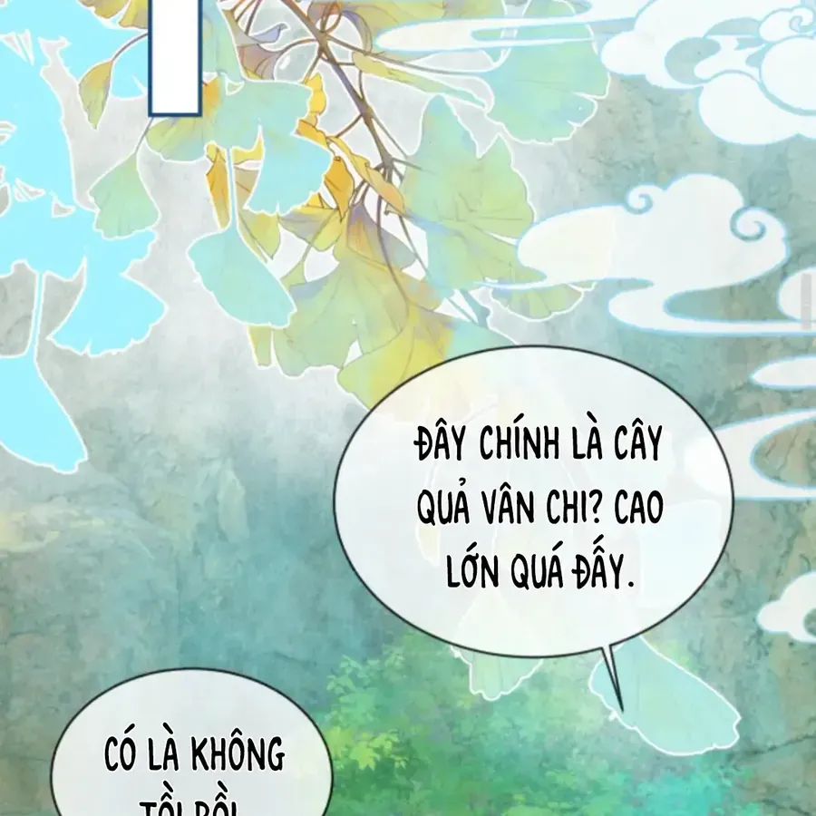 Nhập Hải Chapter 15 - Trang 2