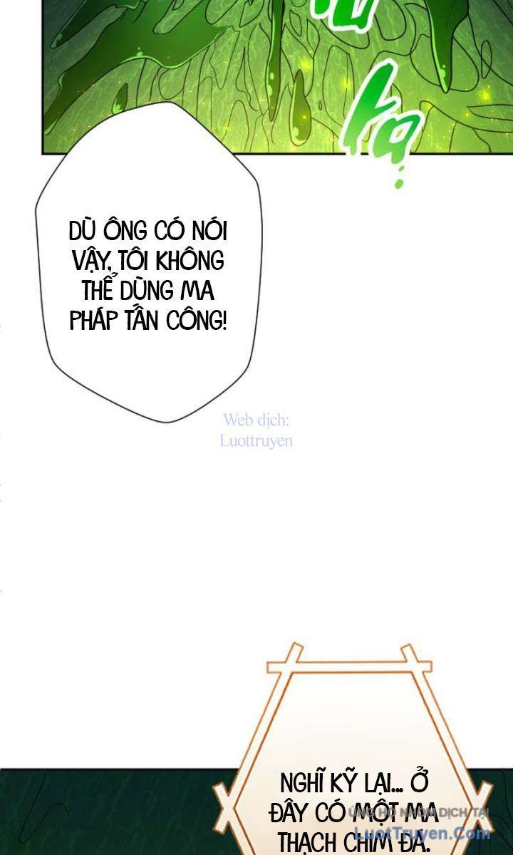 Đại Hiền Giả Sở Hữu Trăm Ma Thạch Chapter 9 - Trang 2