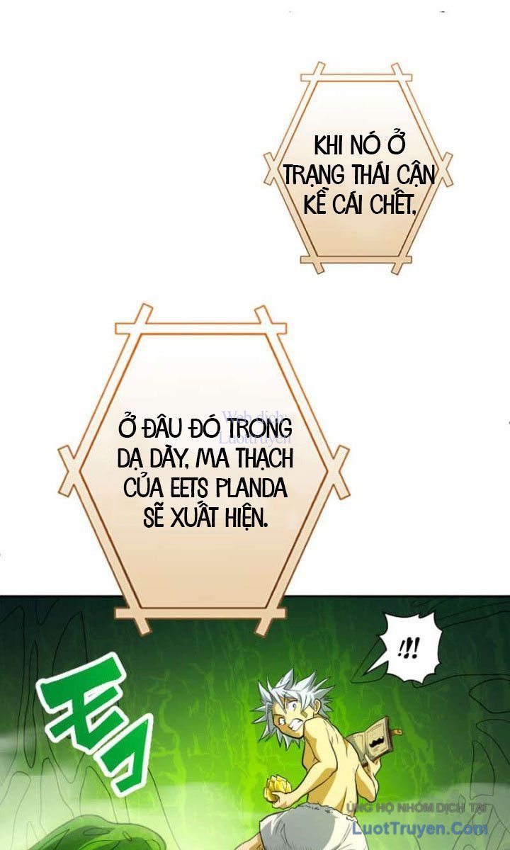 Đại Hiền Giả Sở Hữu Trăm Ma Thạch Chapter 9 - Trang 2