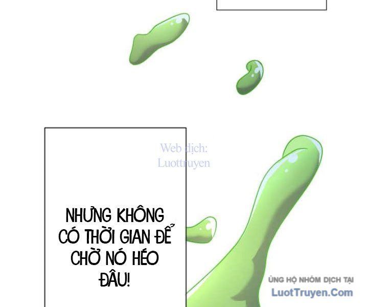 Đại Hiền Giả Sở Hữu Trăm Ma Thạch Chapter 9 - Trang 2