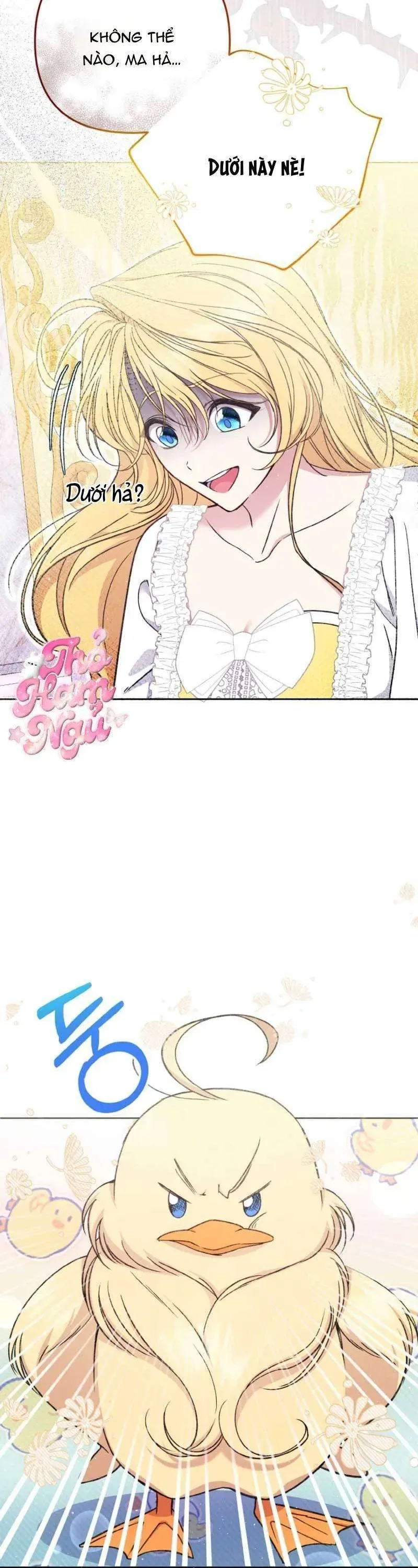 Nàng Vịt Chờ Ngày Hủy Hôn Chapter 2 - Trang 2