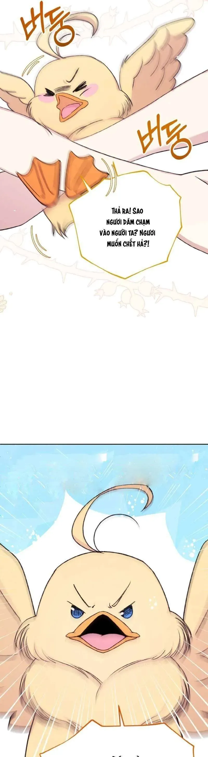 Nàng Vịt Chờ Ngày Hủy Hôn Chapter 2 - Trang 2