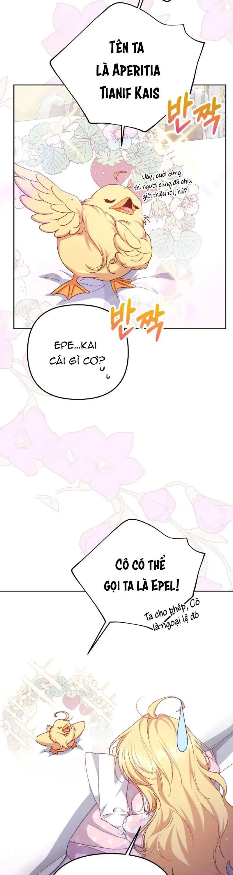 Nàng Vịt Chờ Ngày Hủy Hôn Chapter 4 - Trang 2