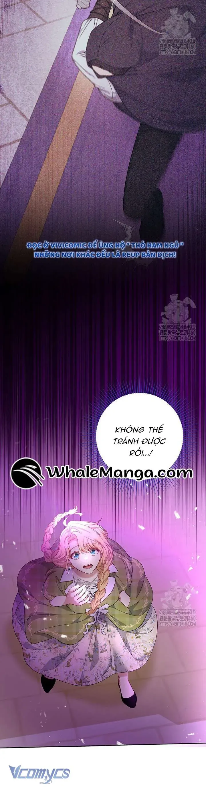 Nàng Vịt Chờ Ngày Hủy Hôn Chapter 7 - Trang 2