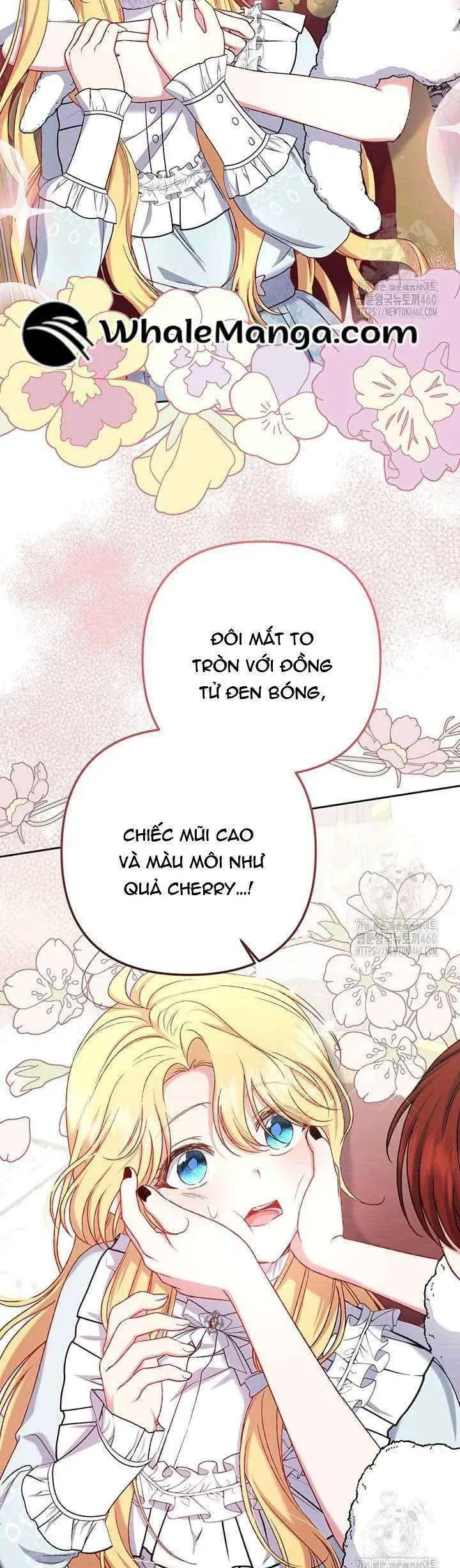 Nàng Vịt Chờ Ngày Hủy Hôn Chapter 12 - Trang 2