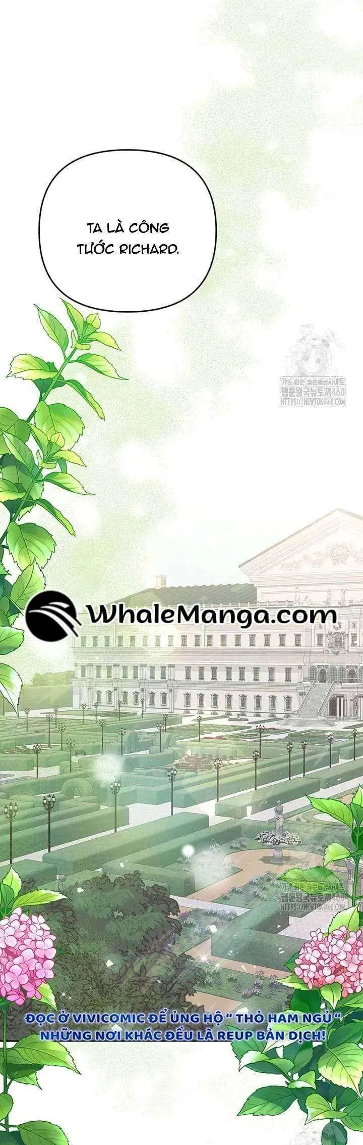 Nàng Vịt Chờ Ngày Hủy Hôn Chapter 12 - Trang 2