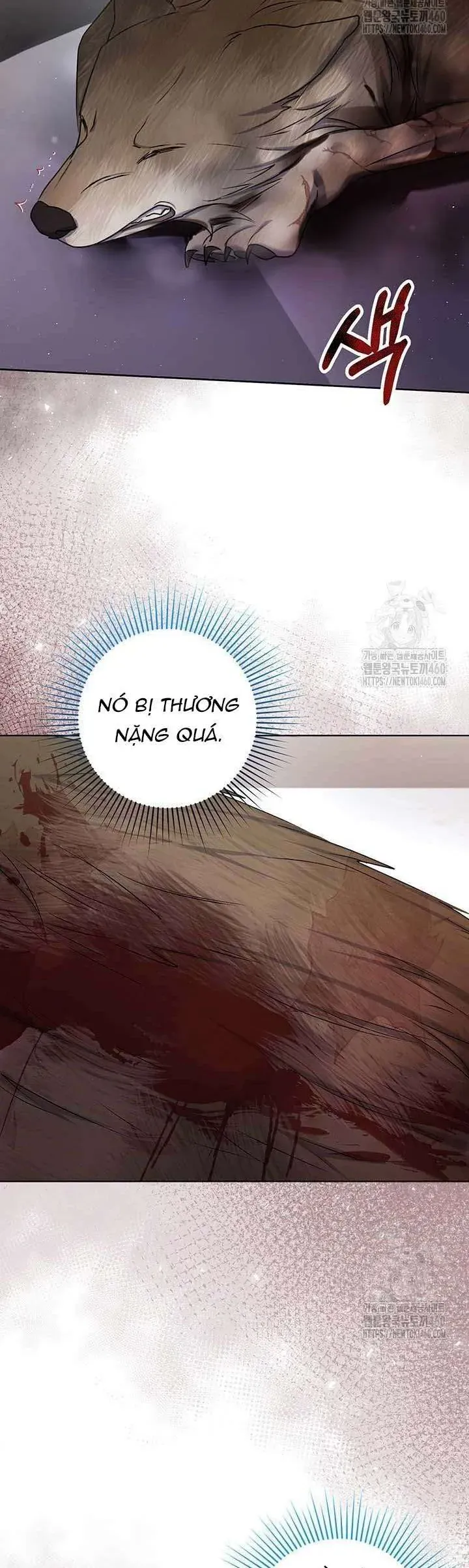 Nàng Vịt Chờ Ngày Hủy Hôn Chapter 15 - Trang 2