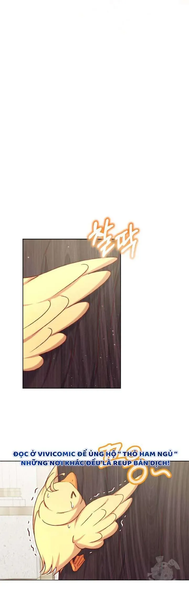 Nàng Vịt Chờ Ngày Hủy Hôn Chapter 22 - Trang 2