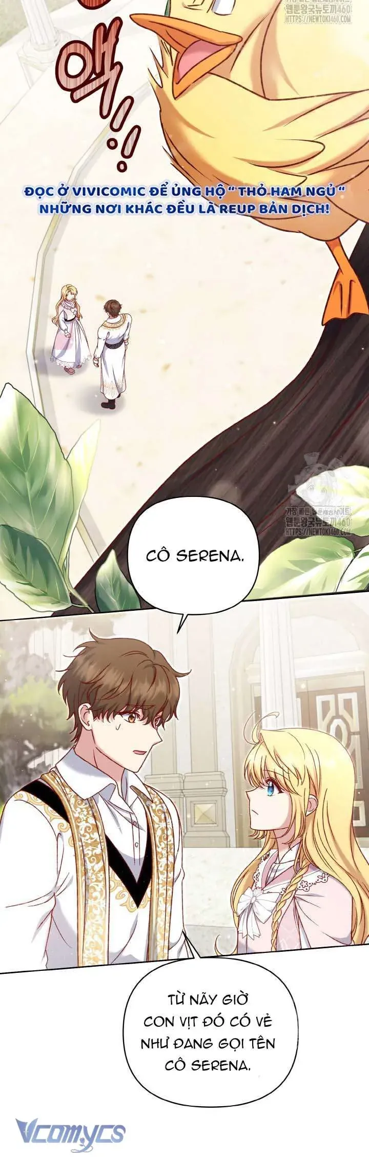 Nàng Vịt Chờ Ngày Hủy Hôn Chapter 22 - Trang 2