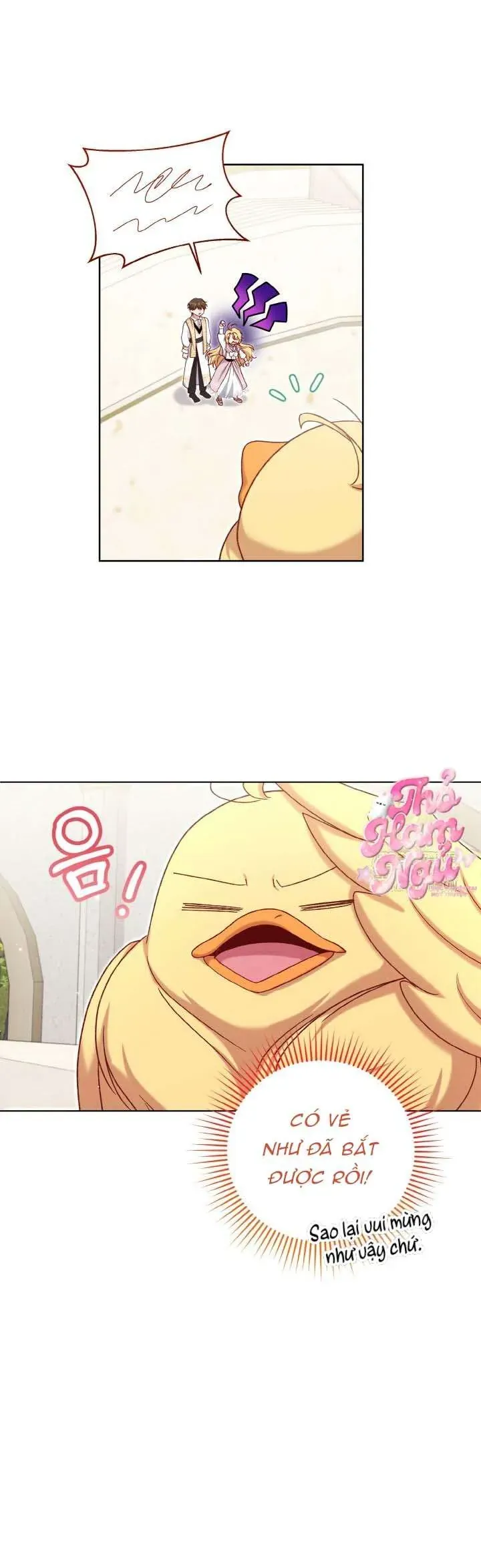 Nàng Vịt Chờ Ngày Hủy Hôn Chapter 23 - Trang 2