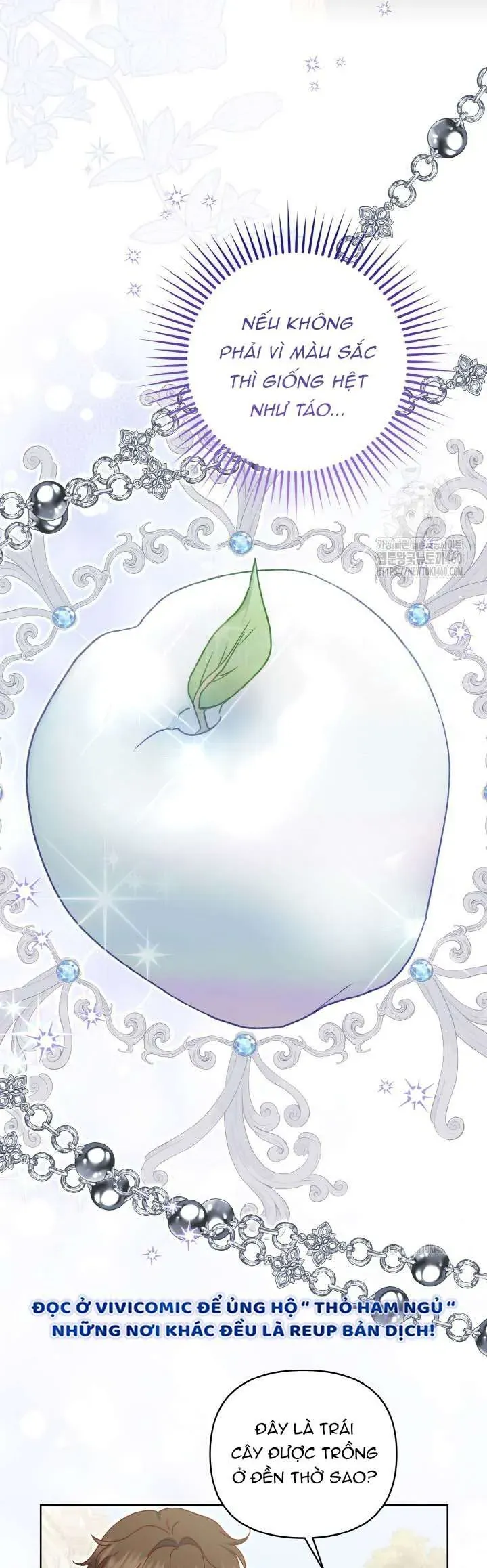 Nàng Vịt Chờ Ngày Hủy Hôn Chapter 23 - Trang 2