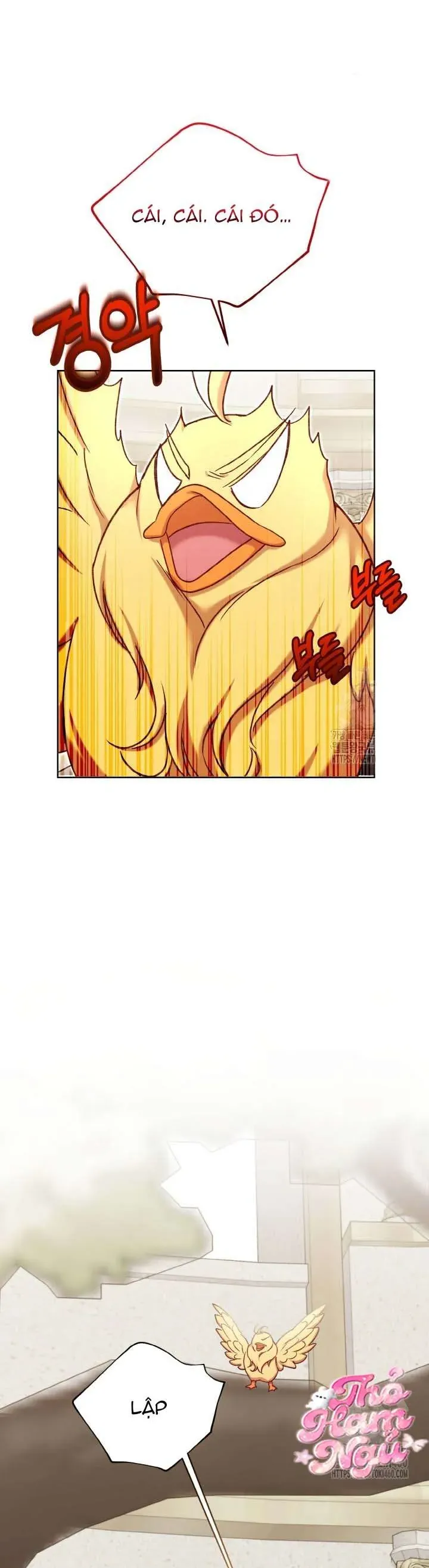 Nàng Vịt Chờ Ngày Hủy Hôn Chapter 23 - Trang 2